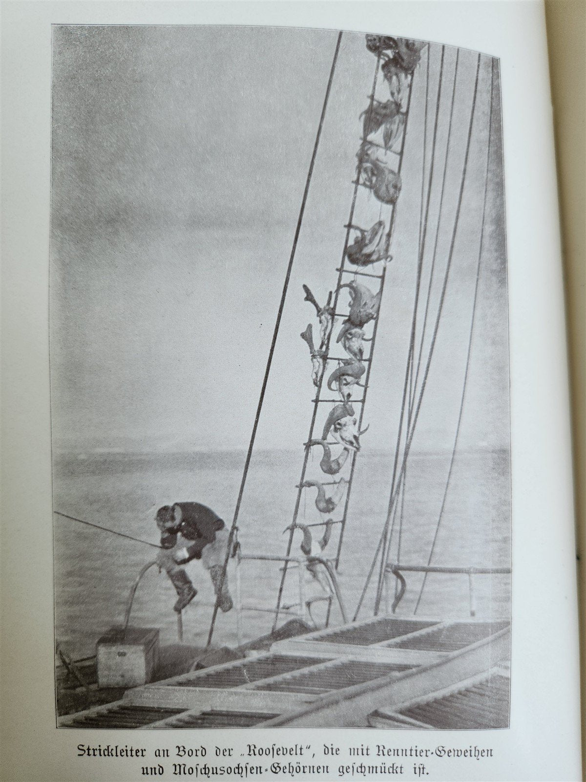 1910 DISCOVERY of NORTH POLE by ROBERT PEARY in GERMAN antique ILLUSTRATED
