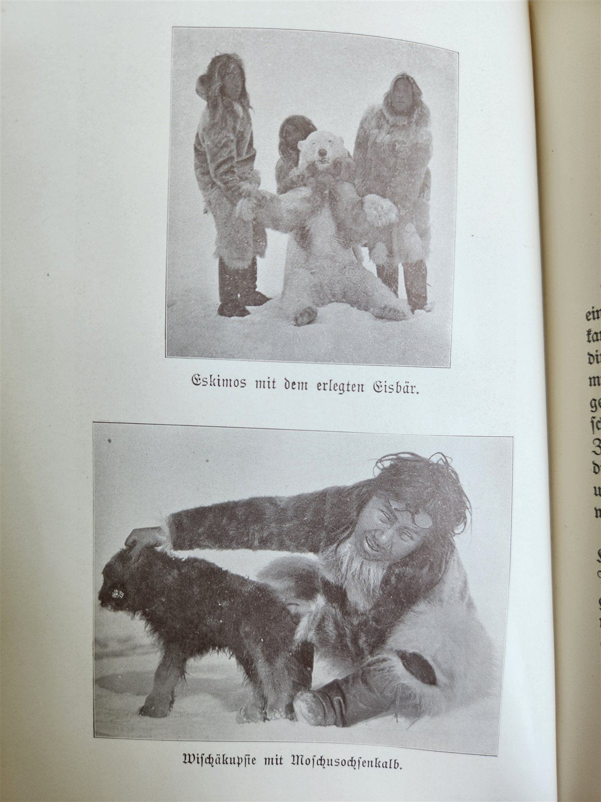 1910 DISCOVERY of NORTH POLE by ROBERT PEARY in GERMAN antique ILLUSTRATED