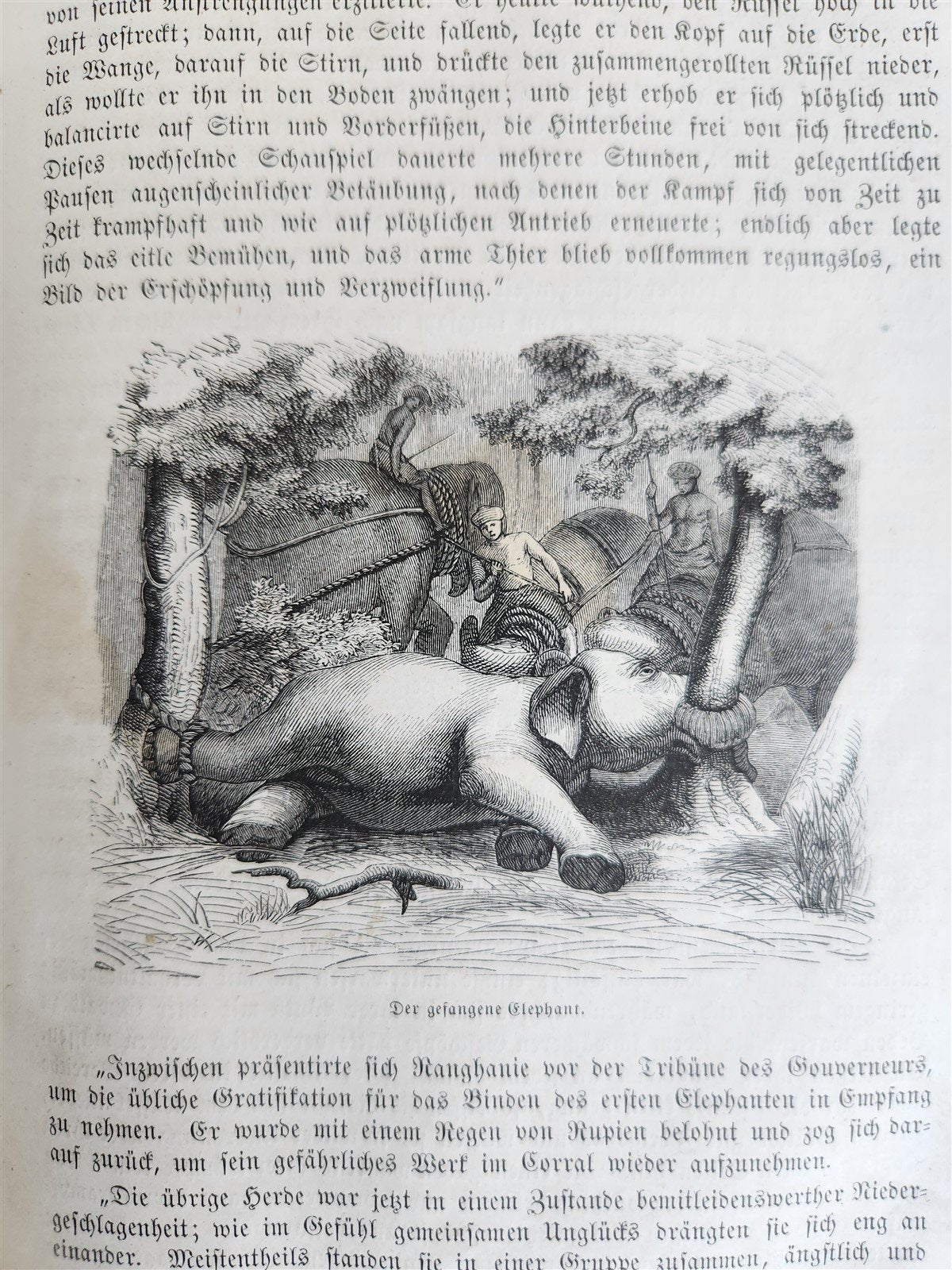 1870s PRUSSIAN EXPEDITION to EAST ASIA JAPAN CHINA SIAM antique ILLUSTRATED