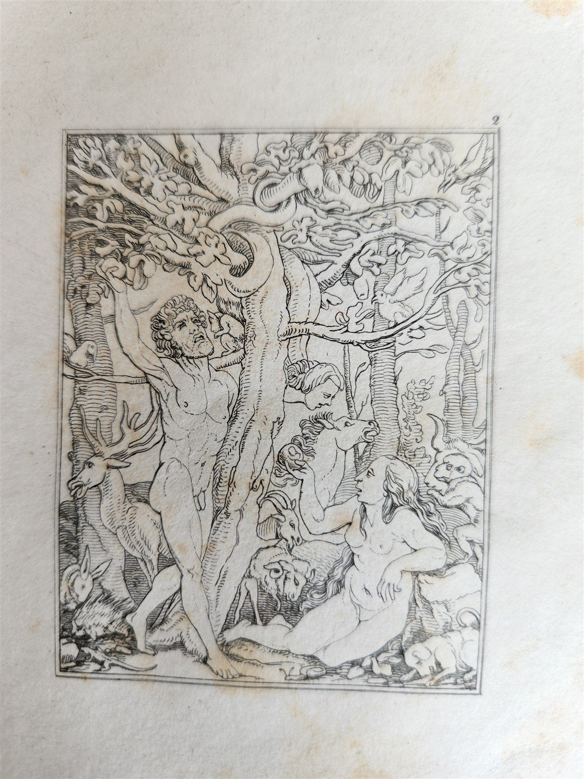 1831 DANCE of DEATH POEM 48 ETCHINGS by HOLBEIN antique Der Todtentanz Bechstein