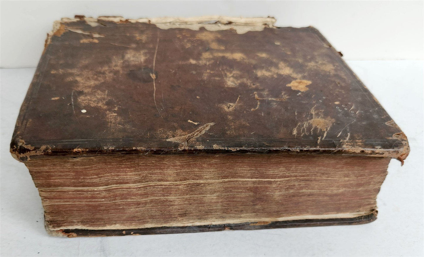 1643 Pious Annotations upon Holy Bible in ENGLISH by Giovanni Diodati antique