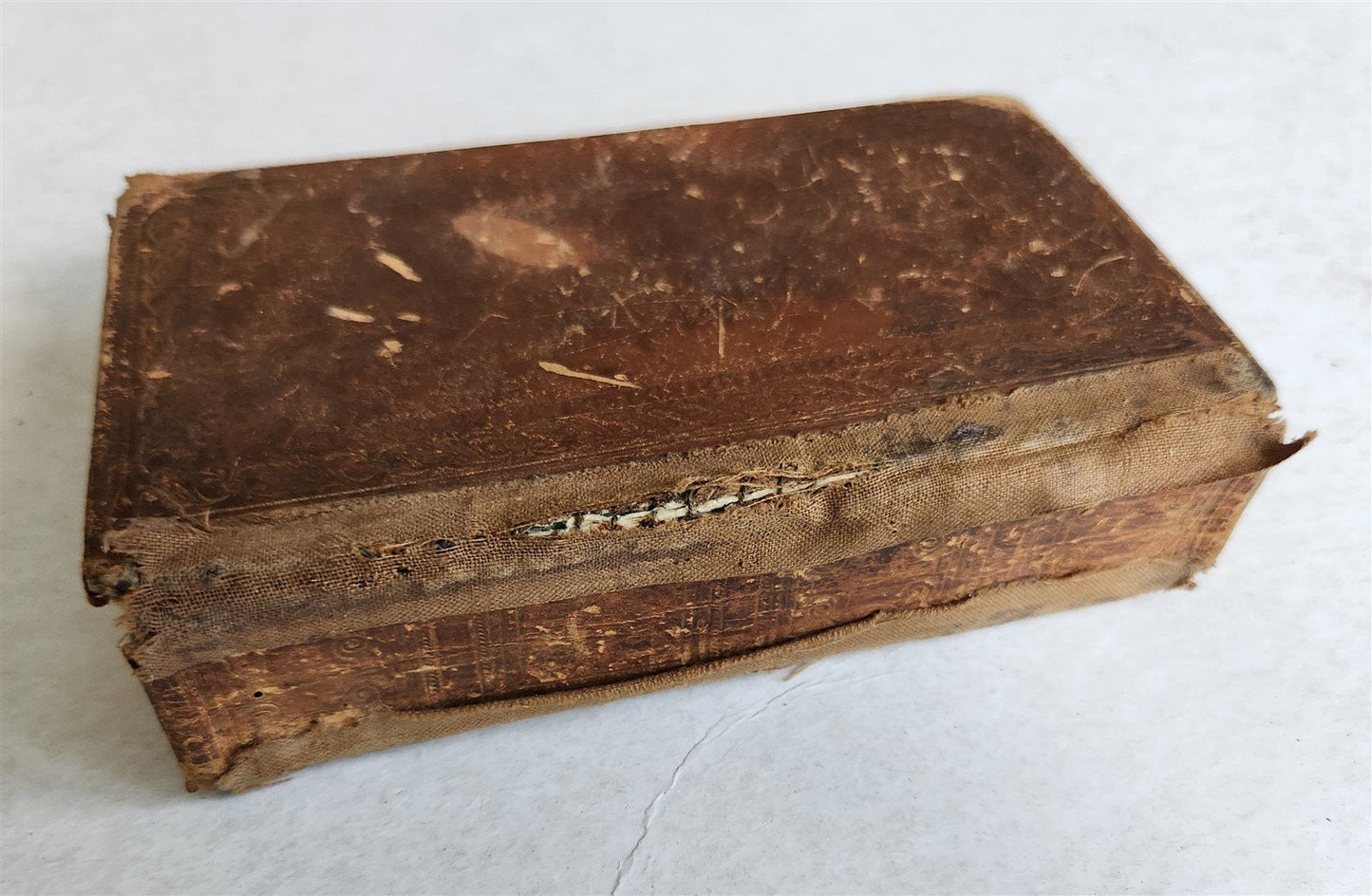 1835 BIBLE in ENGLISH antique POLYGLOTT Philadelphia