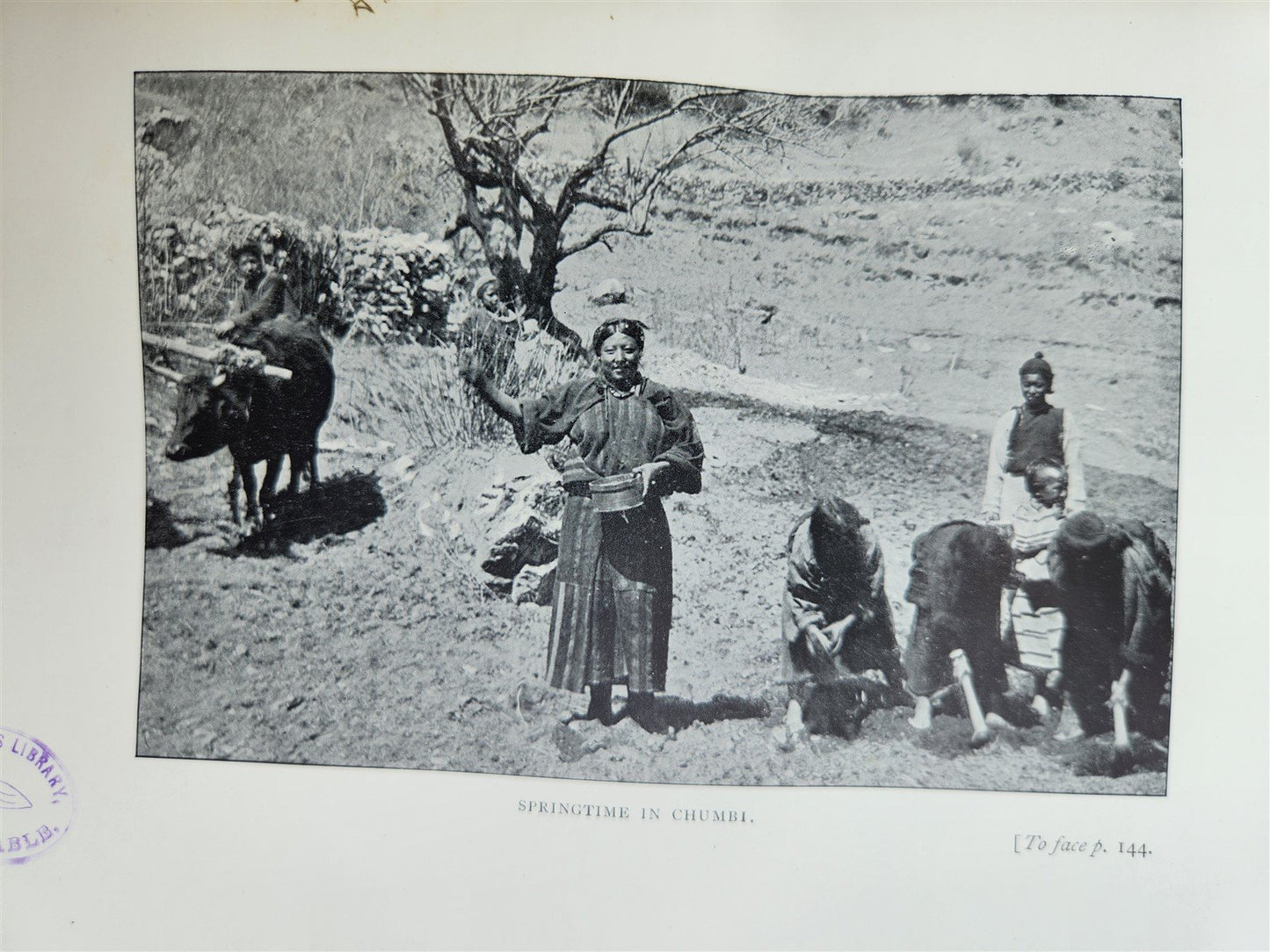 1905 LHASA & ITS MYSTERIES antique TIBET CHINA illustrated