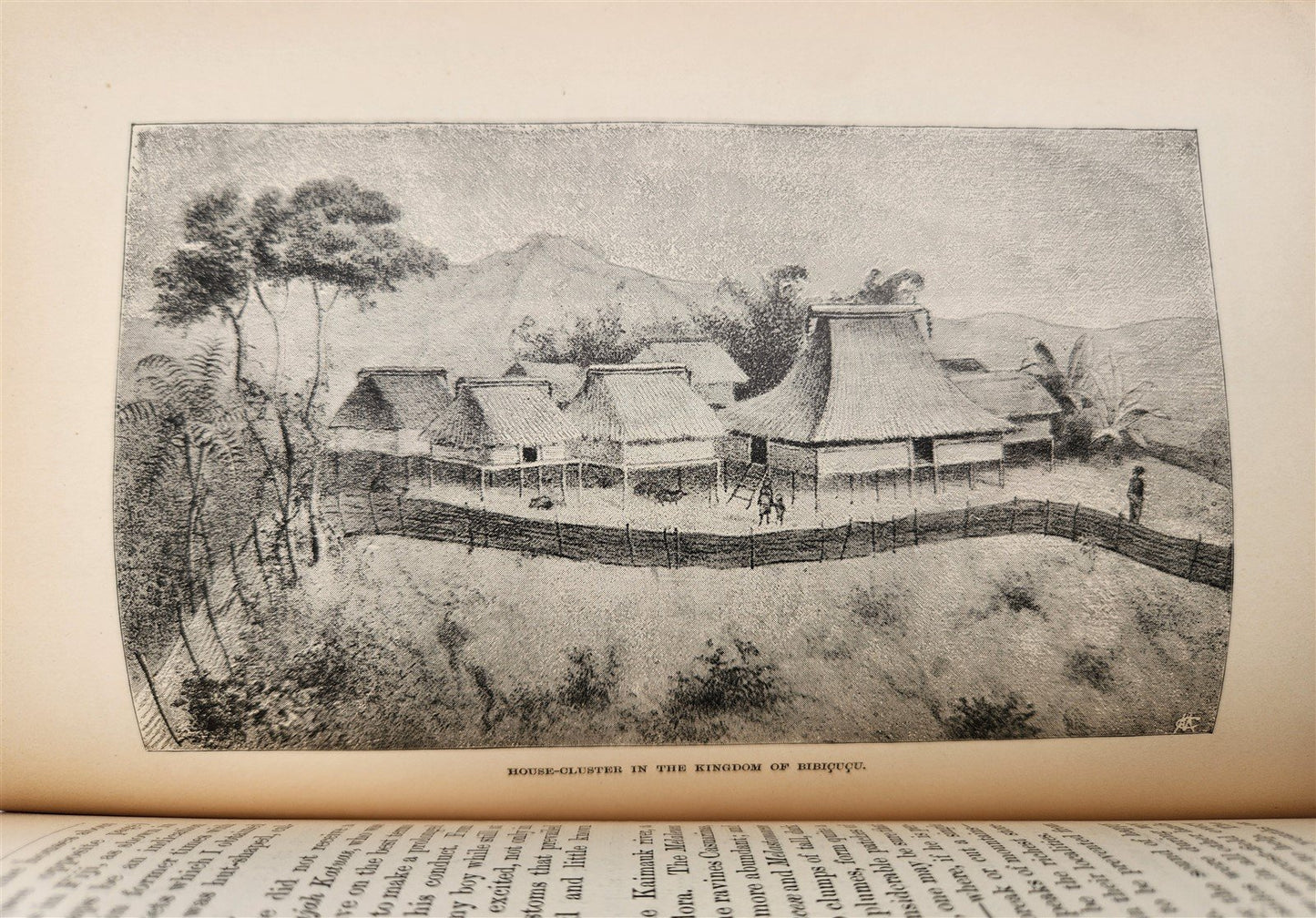 1885 Naturalist's Wanderings in the Eastern Archipelago antique Java Sumatra