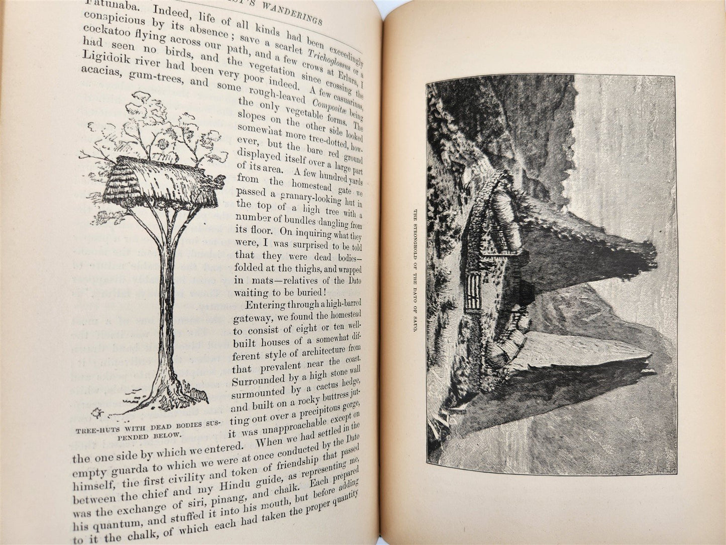 1885 Naturalist's Wanderings in the Eastern Archipelago antique Java Sumatra