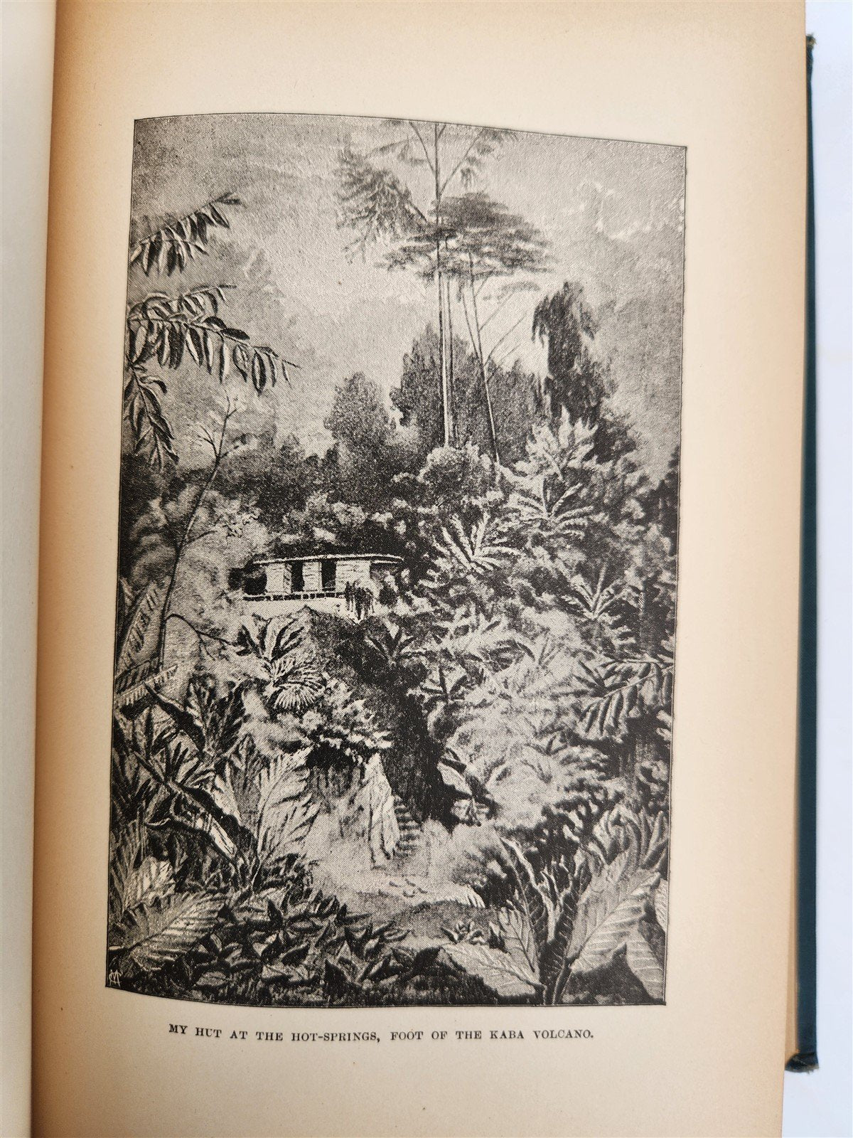 1885 Naturalist's Wanderings in the Eastern Archipelago antique Java Sumatra