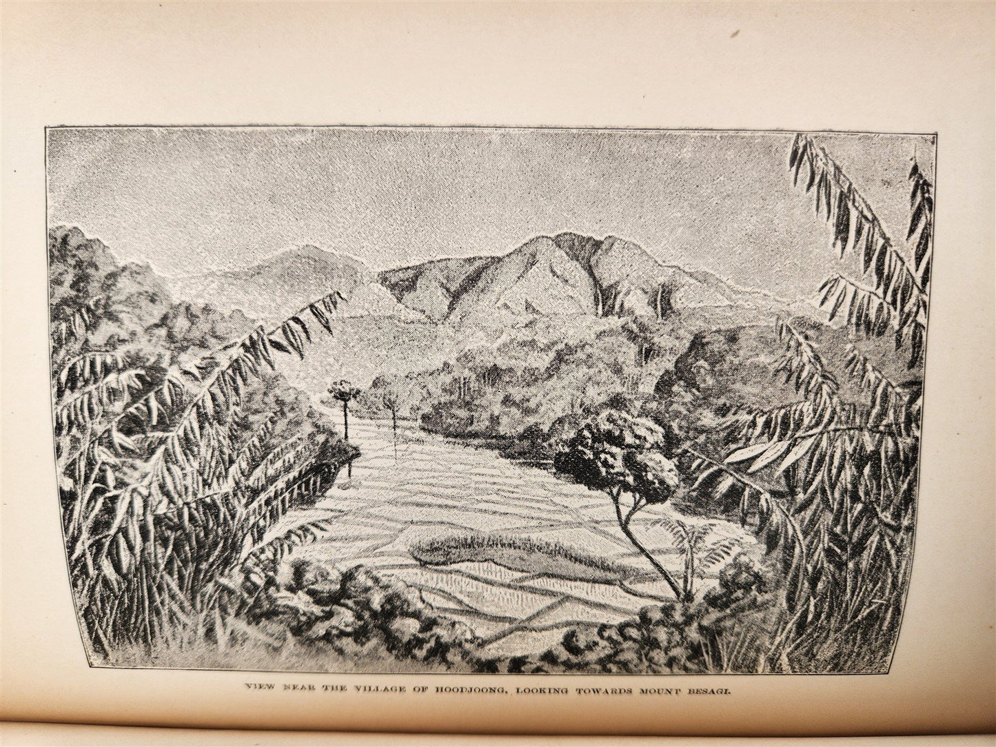 1885 Naturalist's Wanderings in the Eastern Archipelago antique Java Sumatra