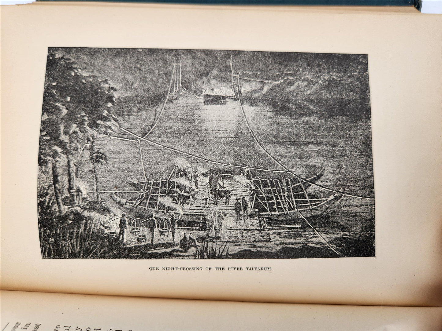 1885 Naturalist's Wanderings in the Eastern Archipelago antique Java Sumatra