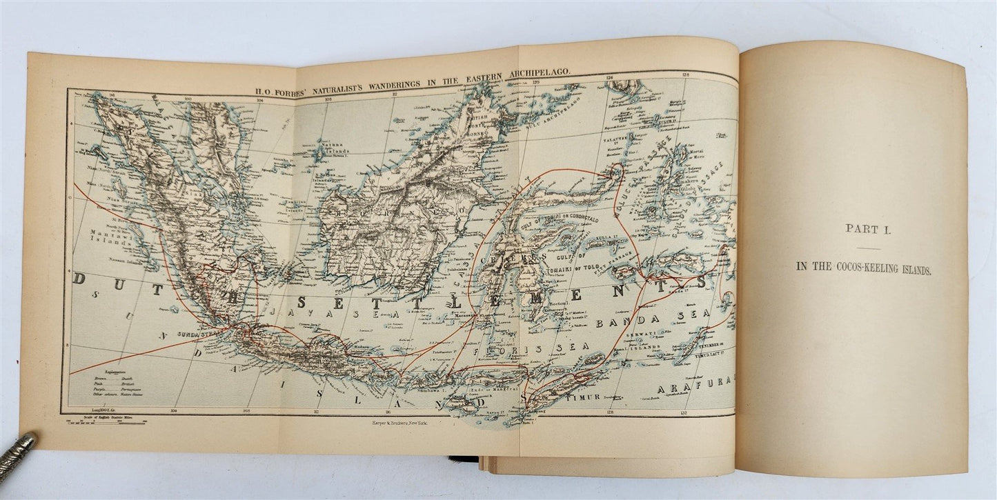 1885 Naturalist's Wanderings in the Eastern Archipelago antique Java Sumatra