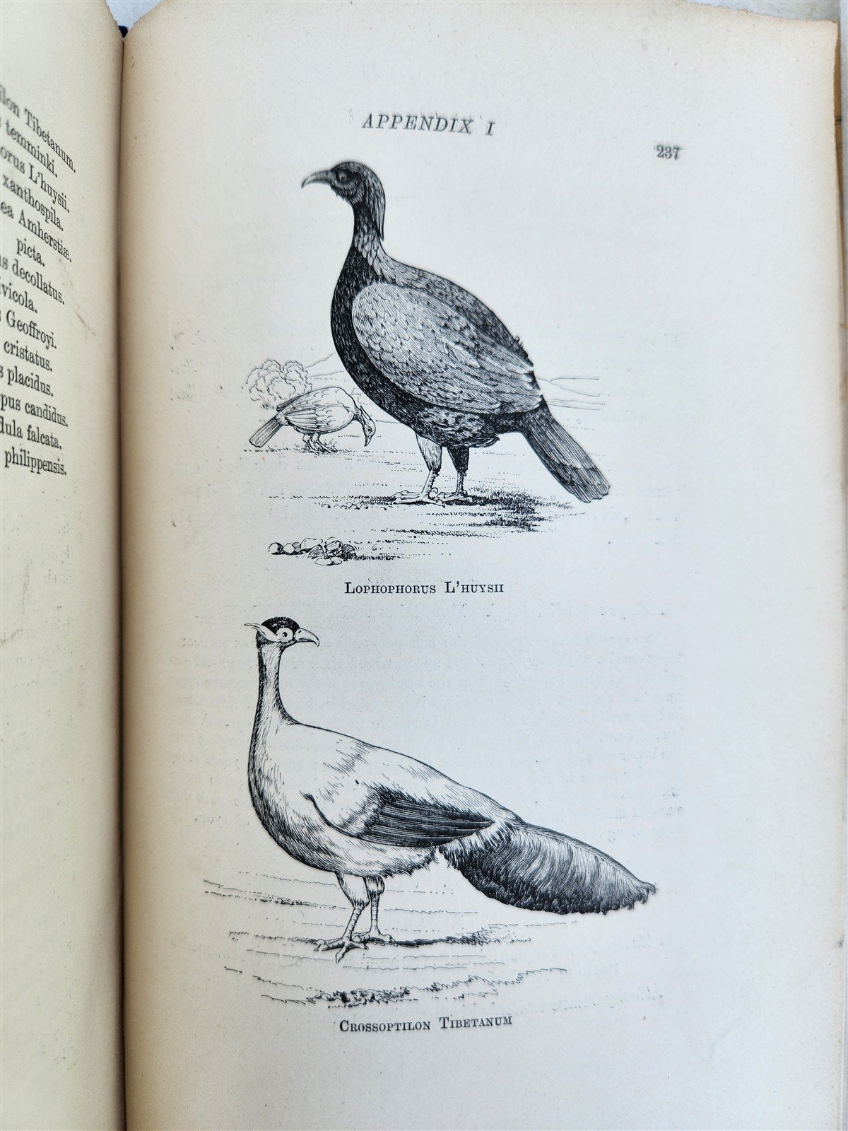 1892 SNOWS of TIBET THROUGH CHINA by A.E. Pratt antique ILLUSTRATED w/ map