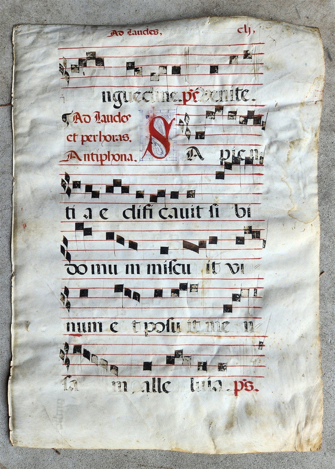 16th century ANTIPHONAL VELLUM CHART MANUSCRIPT antique music score 14.5x20.5