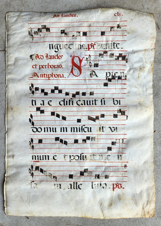 16th century ANTIPHONAL VELLUM CHART MANUSCRIPT antique music score 14.5x20.5