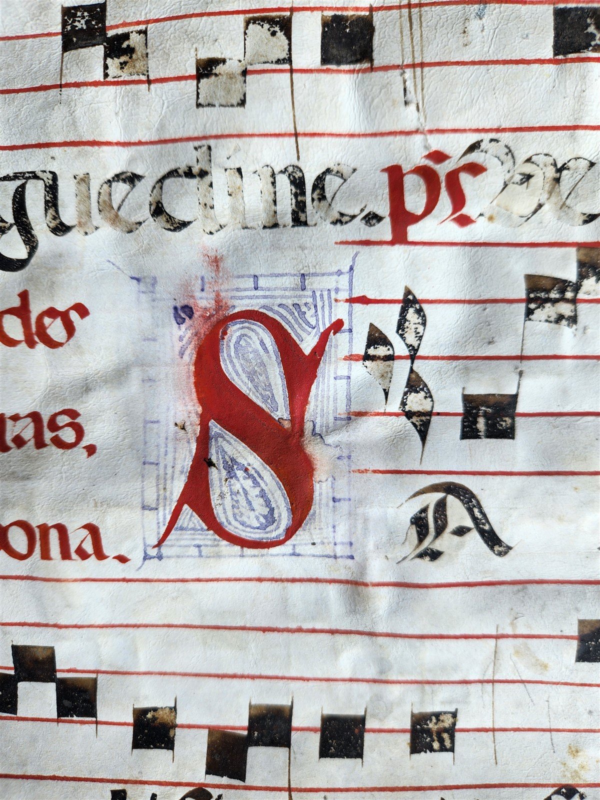 16th century ANTIPHONAL VELLUM CHART MANUSCRIPT antique music score 14.5x20.5