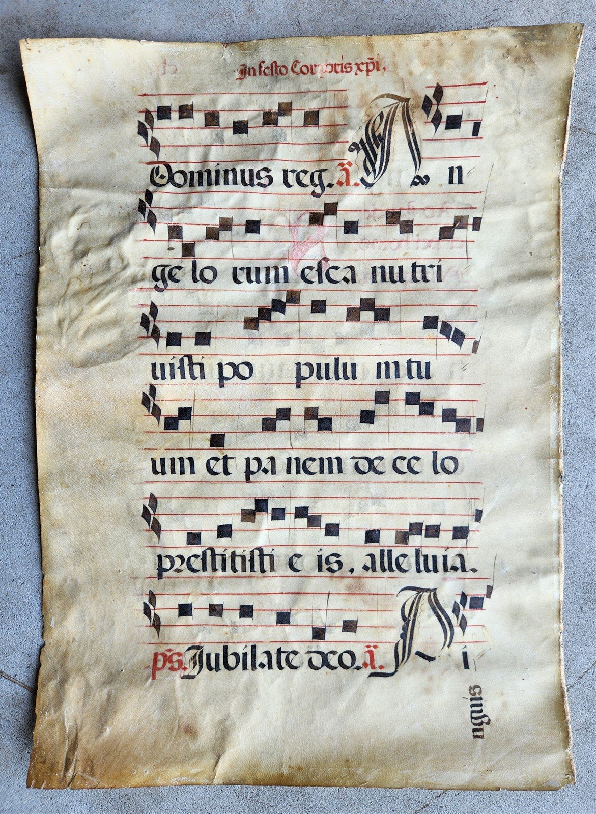 16th century ANTIPHONAL VELLUM CHART MANUSCRIPT antique music score 14.5x20.5