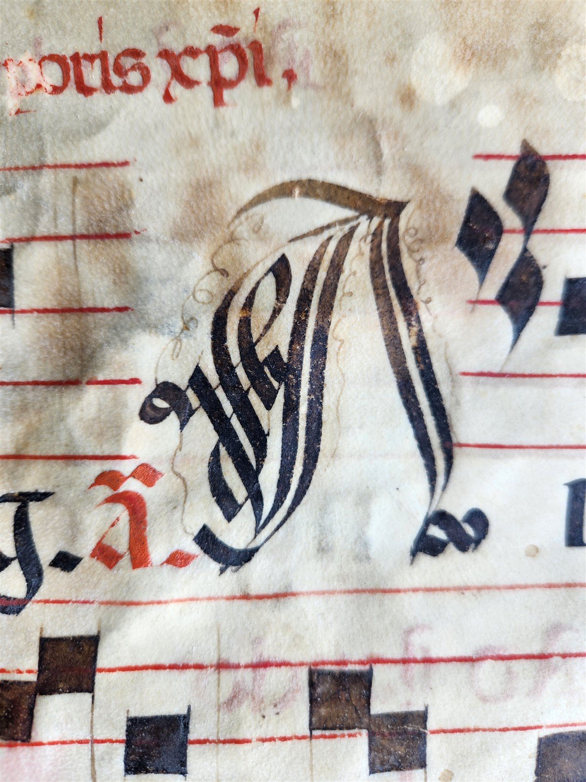 16th century ANTIPHONAL VELLUM CHART MANUSCRIPT antique music score 14.5x20.5