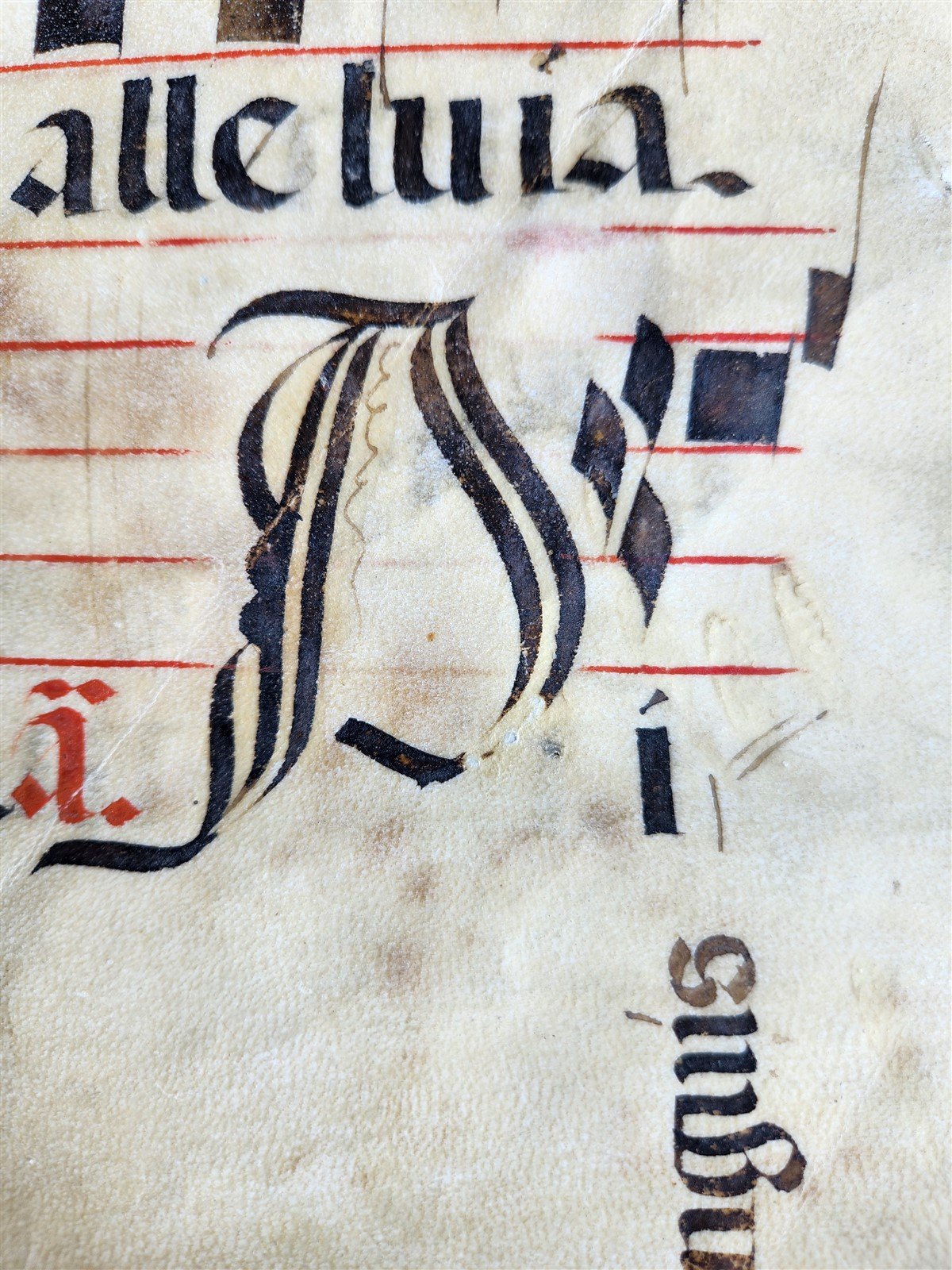 16th century ANTIPHONAL VELLUM CHART MANUSCRIPT antique music score 14.5x20.5