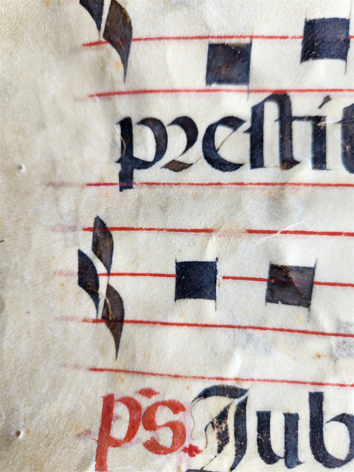 16th century ANTIPHONAL VELLUM CHART MANUSCRIPT antique music score 14.5x20.5