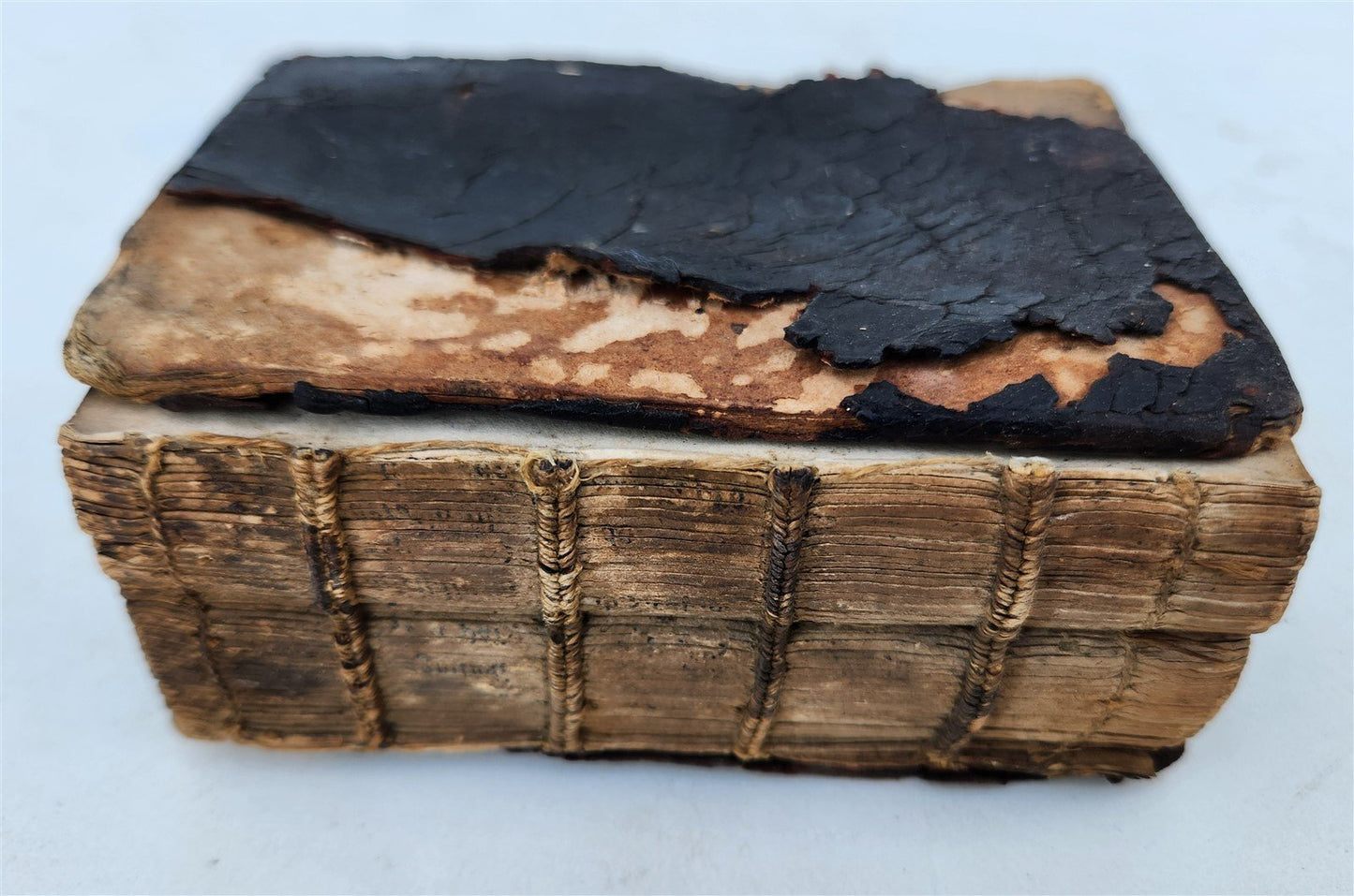 16th century BIBLE in LATIN ILLUSTRATED antique pocket size NEW TESTAMENT