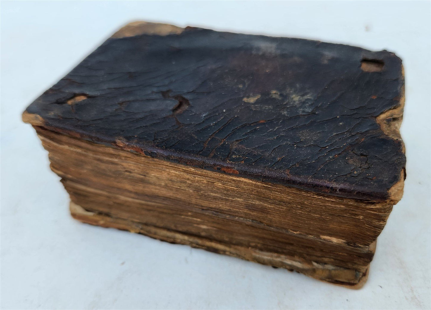16th century BIBLE in LATIN ILLUSTRATED antique pocket size NEW TESTAMENT