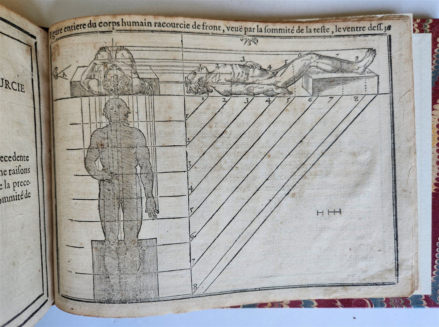 1676 DRAWING BOOK by Jean Cousin antique ILLUSTRATED w/ 33 MAGNIFICENT WOODCUTS