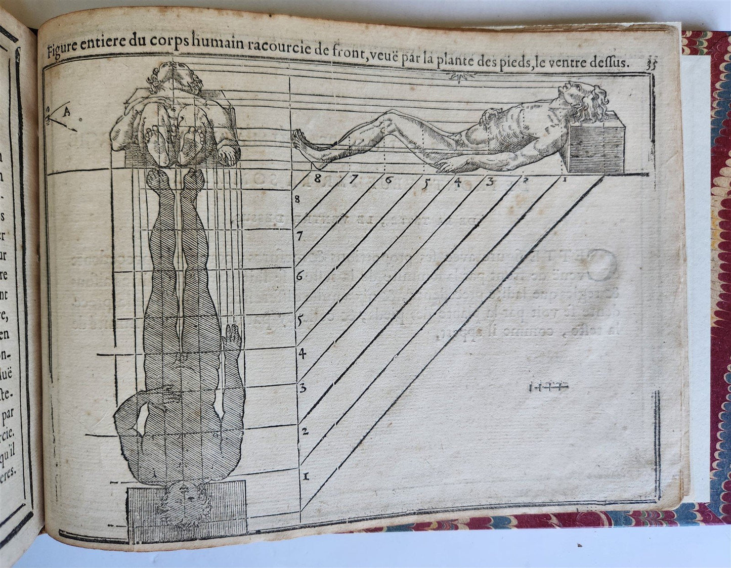 1676 DRAWING BOOK by Jean Cousin antique ILLUSTRATED w/ 33 MAGNIFICENT WOODCUTS