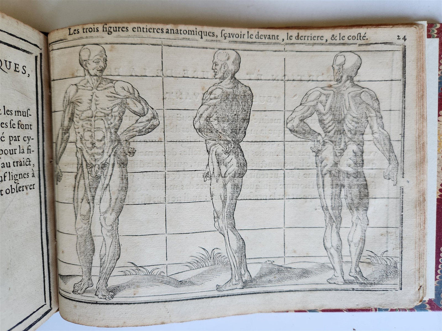 1676 DRAWING BOOK by Jean Cousin antique ILLUSTRATED w/ 33 MAGNIFICENT WOODCUTS