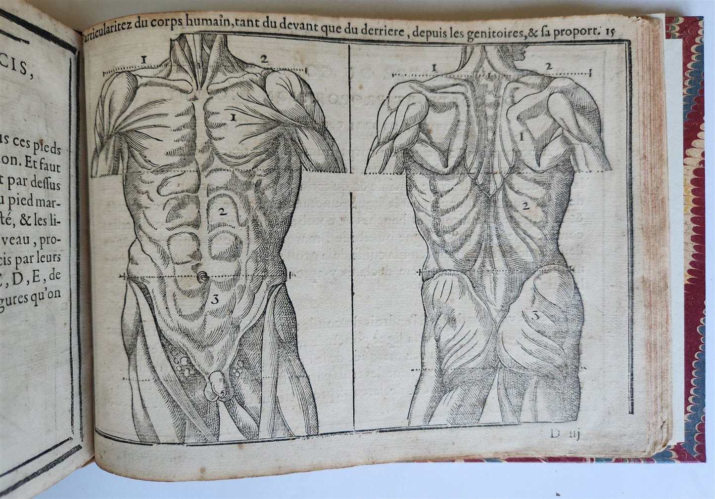 1676 DRAWING BOOK by Jean Cousin antique ILLUSTRATED w/ 33 MAGNIFICENT WOODCUTS