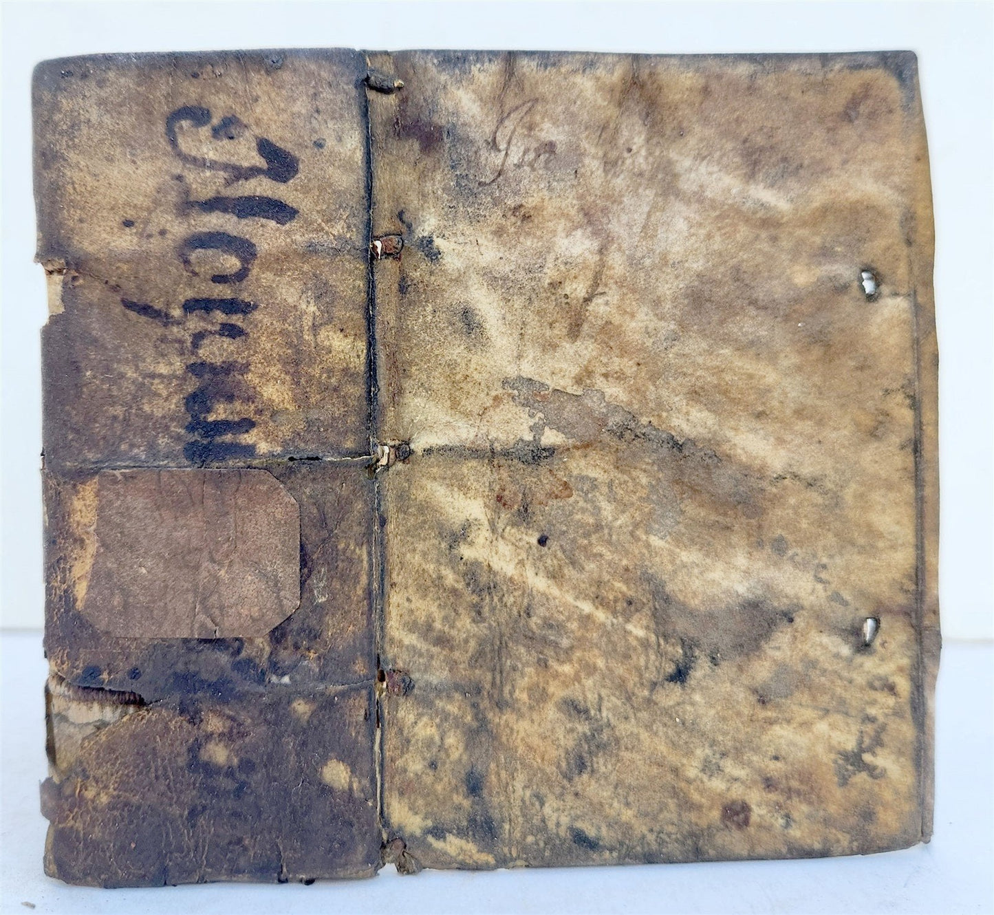 1548 BIBLE in LATIN NEW TESTAMENT antique RARE POCKET SIZE BIBLIA VELLUM BINDING
