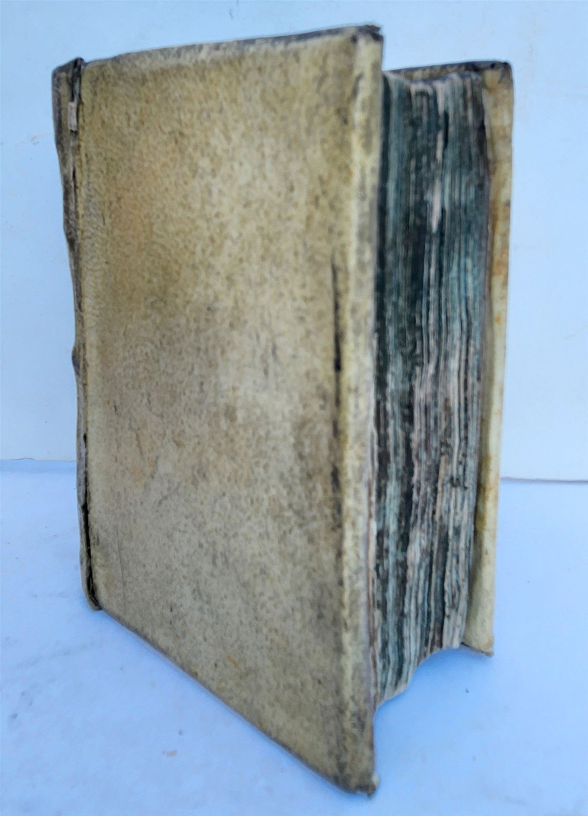 1551 BIBLE in LATIN ILLUSTRATED w/ 108 WOODCUTS antique RARE pocket size VELLUM