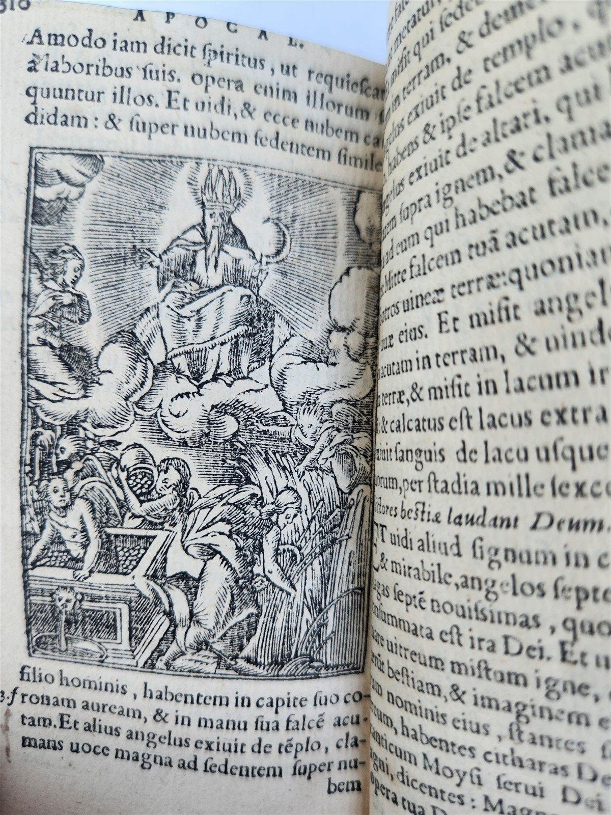 1551 BIBLE in LATIN ILLUSTRATED w/ 108 WOODCUTS antique RARE pocket size VELLUM