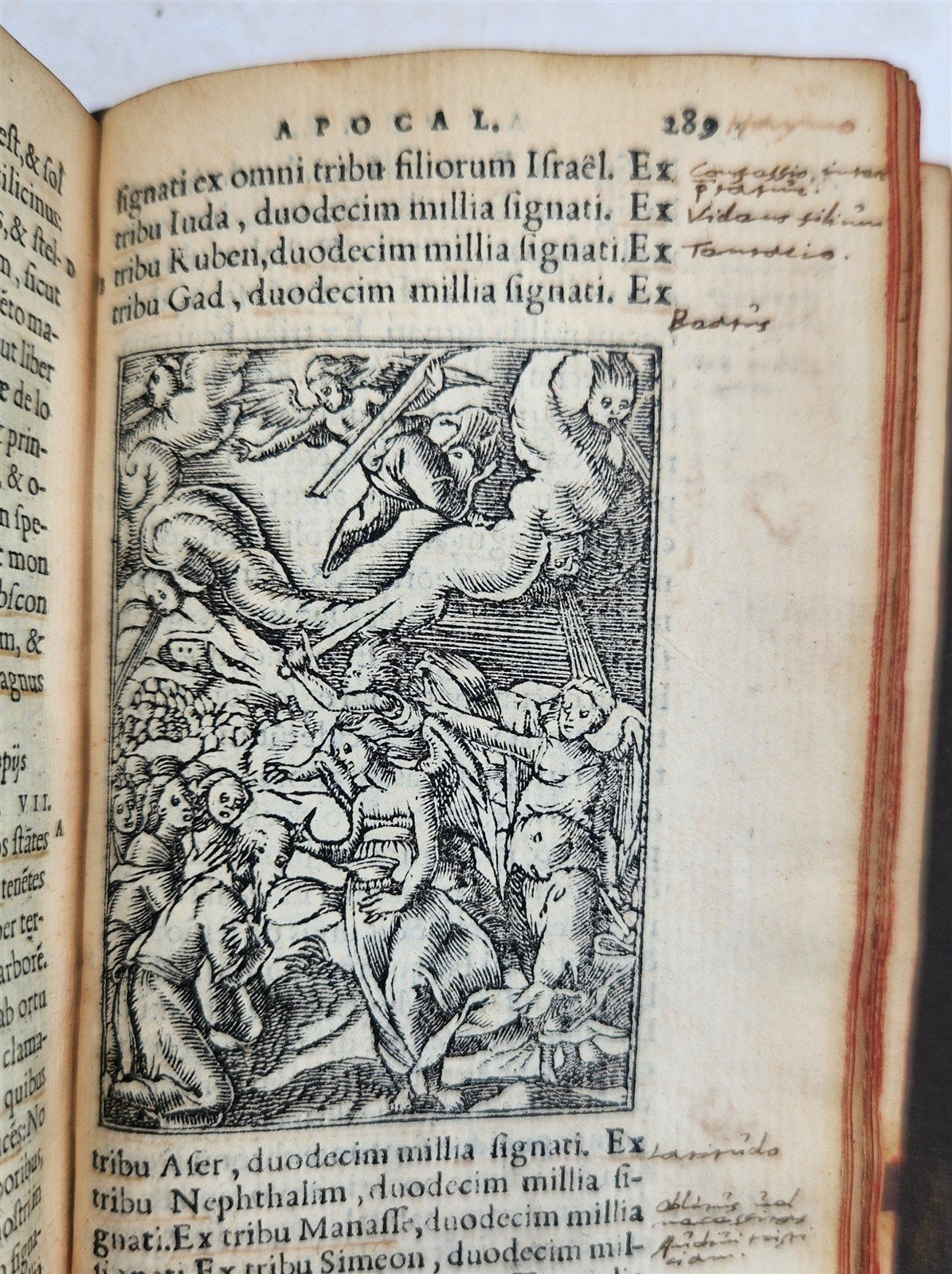 1557 BIBLE in LATIN FULLY ILLUSTRATED antique RARE pocket size NEW TESTAMENT