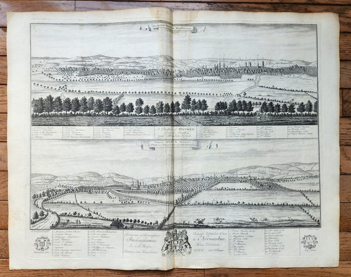 1733 OXONIA DEPICTA 58 OXFORD UNIVERSITY ENGRAVINGS antique LARGE FOLIO Williams