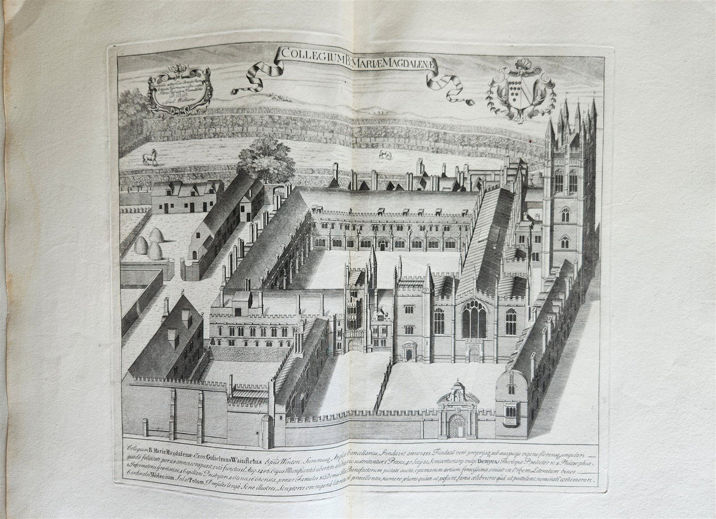 1733 OXONIA DEPICTA 58 OXFORD UNIVERSITY ENGRAVINGS antique LARGE FOLIO Williams