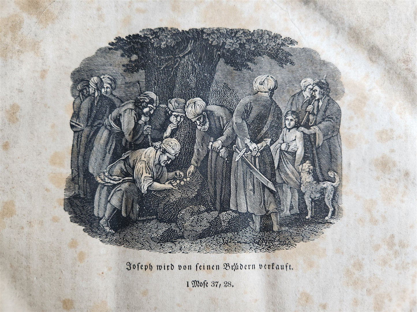 1828 BIBLE in GERMAN ILLUSTRATED antique PHILADELPHIA AMERICANA