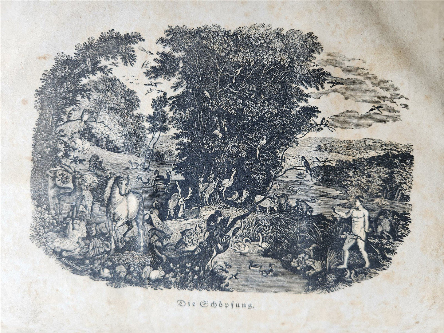 1828 BIBLE in GERMAN ILLUSTRATED antique PHILADELPHIA AMERICANA