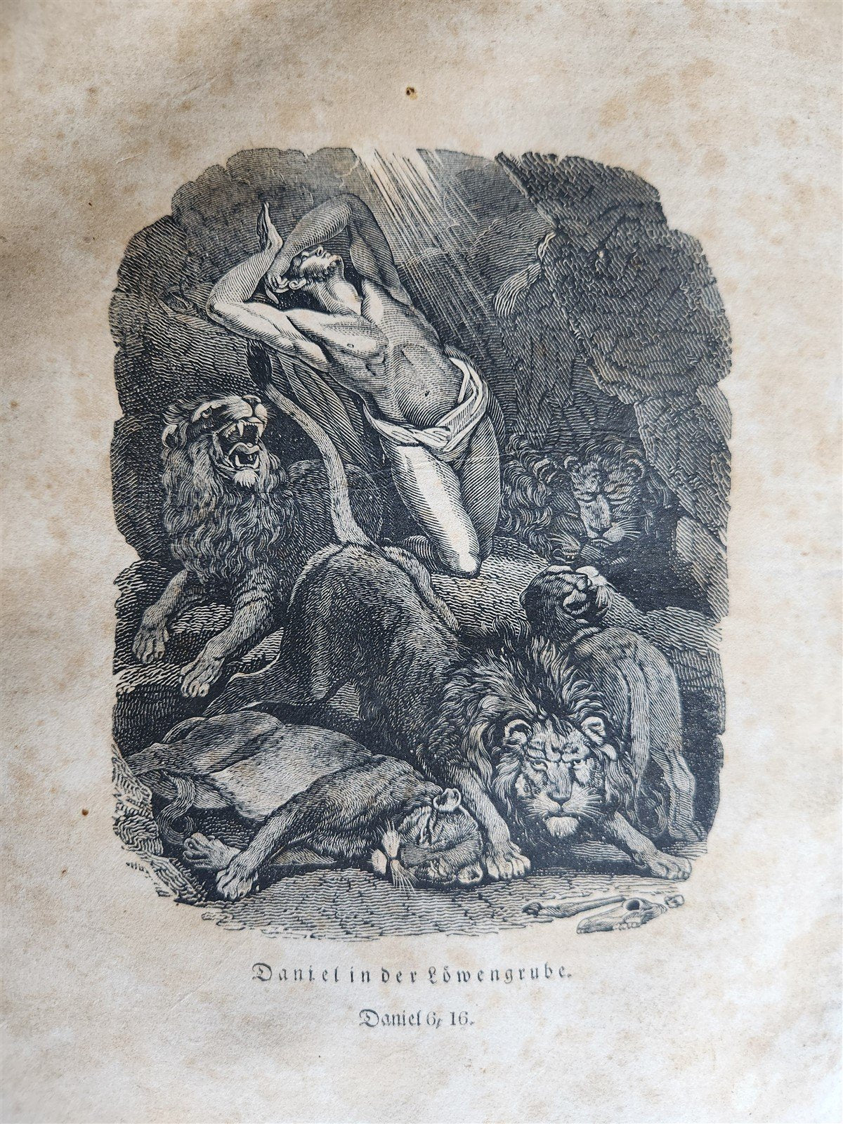 1828 BIBLE in GERMAN ILLUSTRATED antique PHILADELPHIA AMERICANA