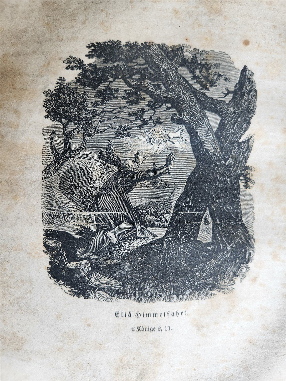 1828 BIBLE in GERMAN ILLUSTRATED antique PHILADELPHIA AMERICANA
