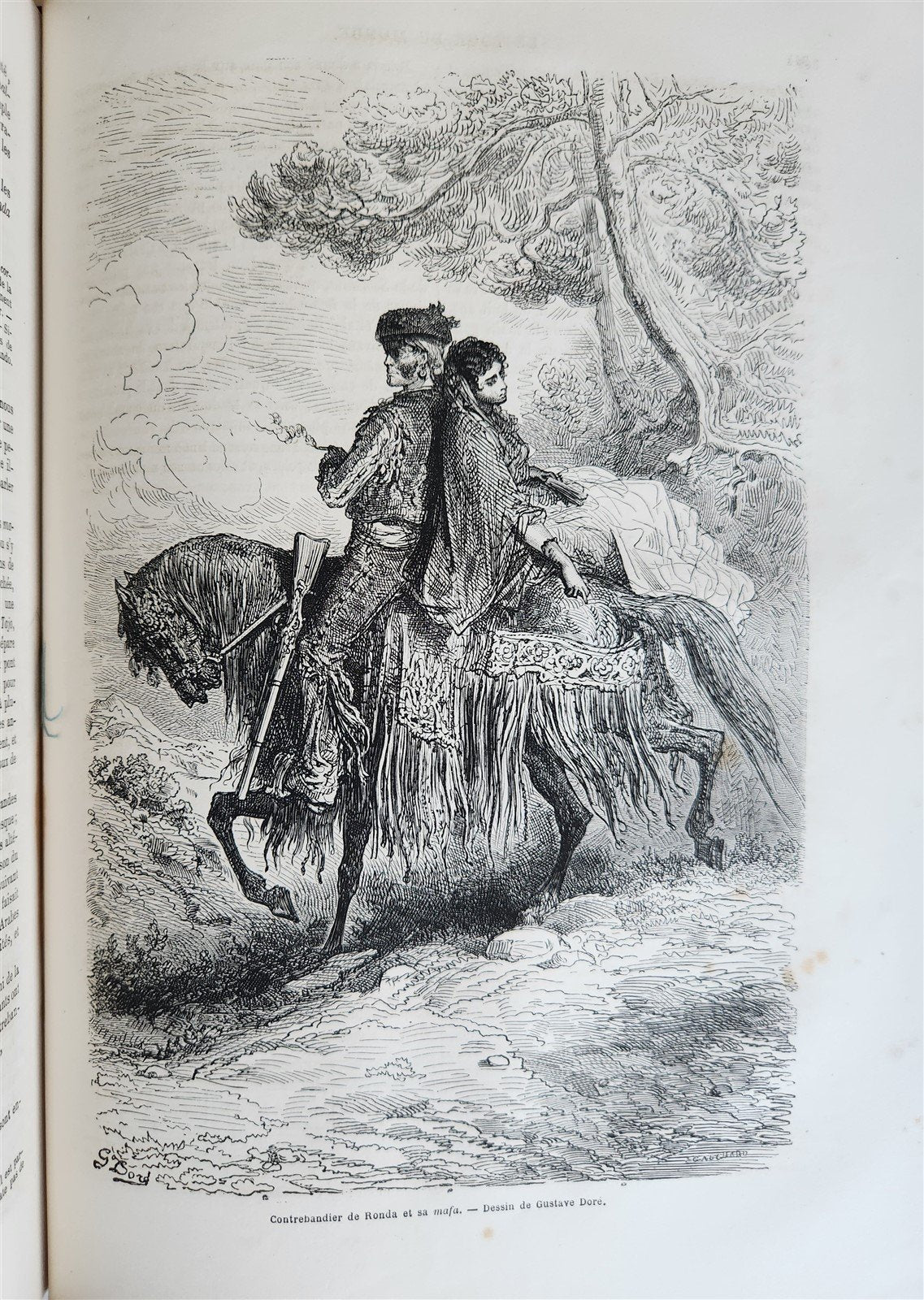 1865 HISTORY of VOYAGES ILLUSTRATED antique Russia Africa New Zealand S. America