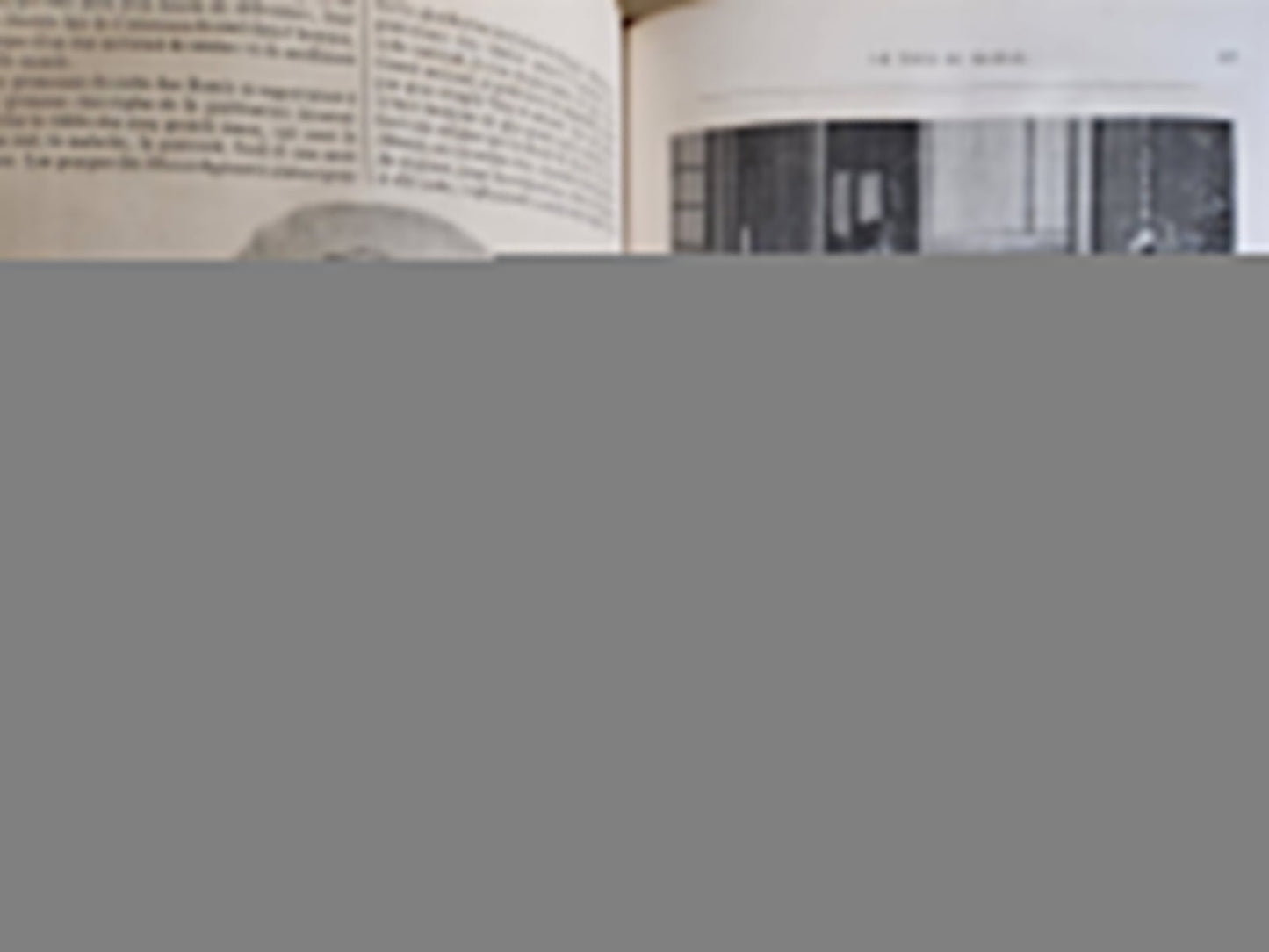 1866 HISTORY of VOYAGES ILLUSTRATED antique JAPAN & SOUTH AMERICA TRAVELS