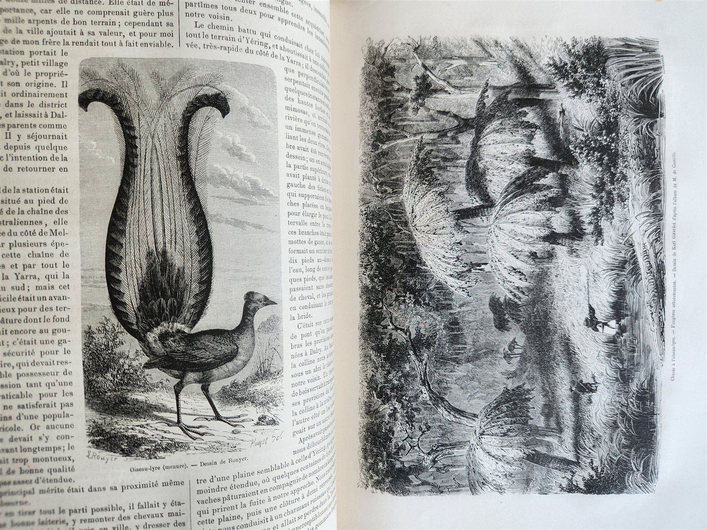 1861 HISTORY of VOYAGES ILLUSTRATED antique USA CANADA SENEGAL AUSTRALIA TRAVELS