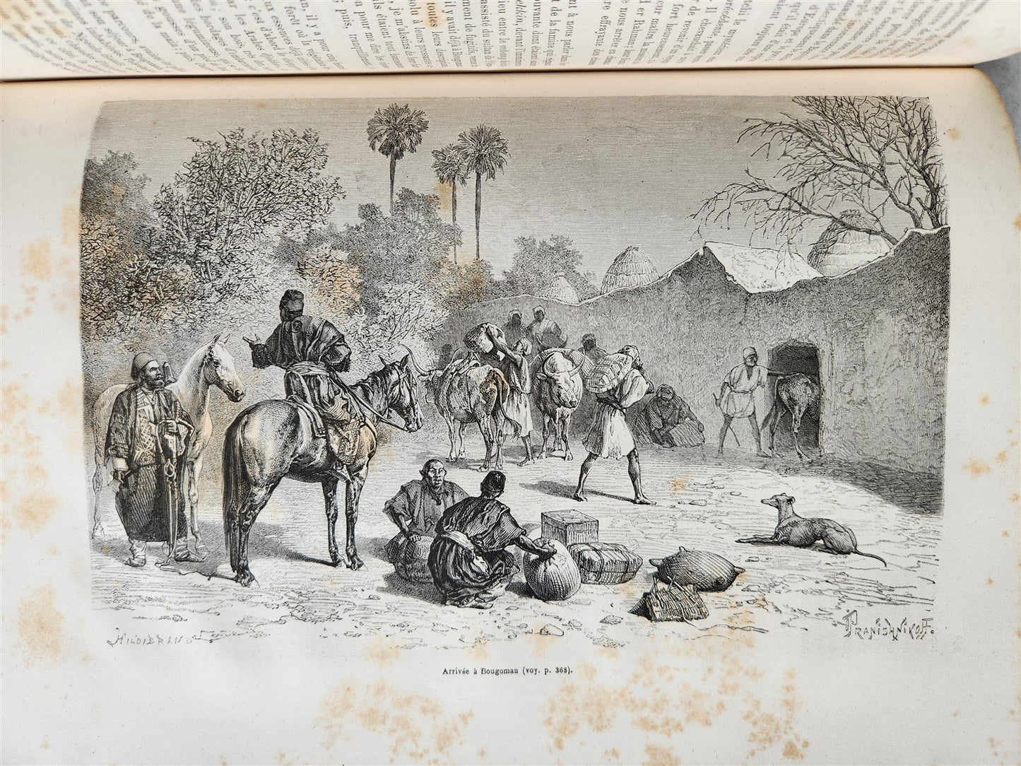 1880 HISTORY of VOYAGES ILLUSTRATED antique S. AMERICA ALGERIA SUMATRA AFRICA