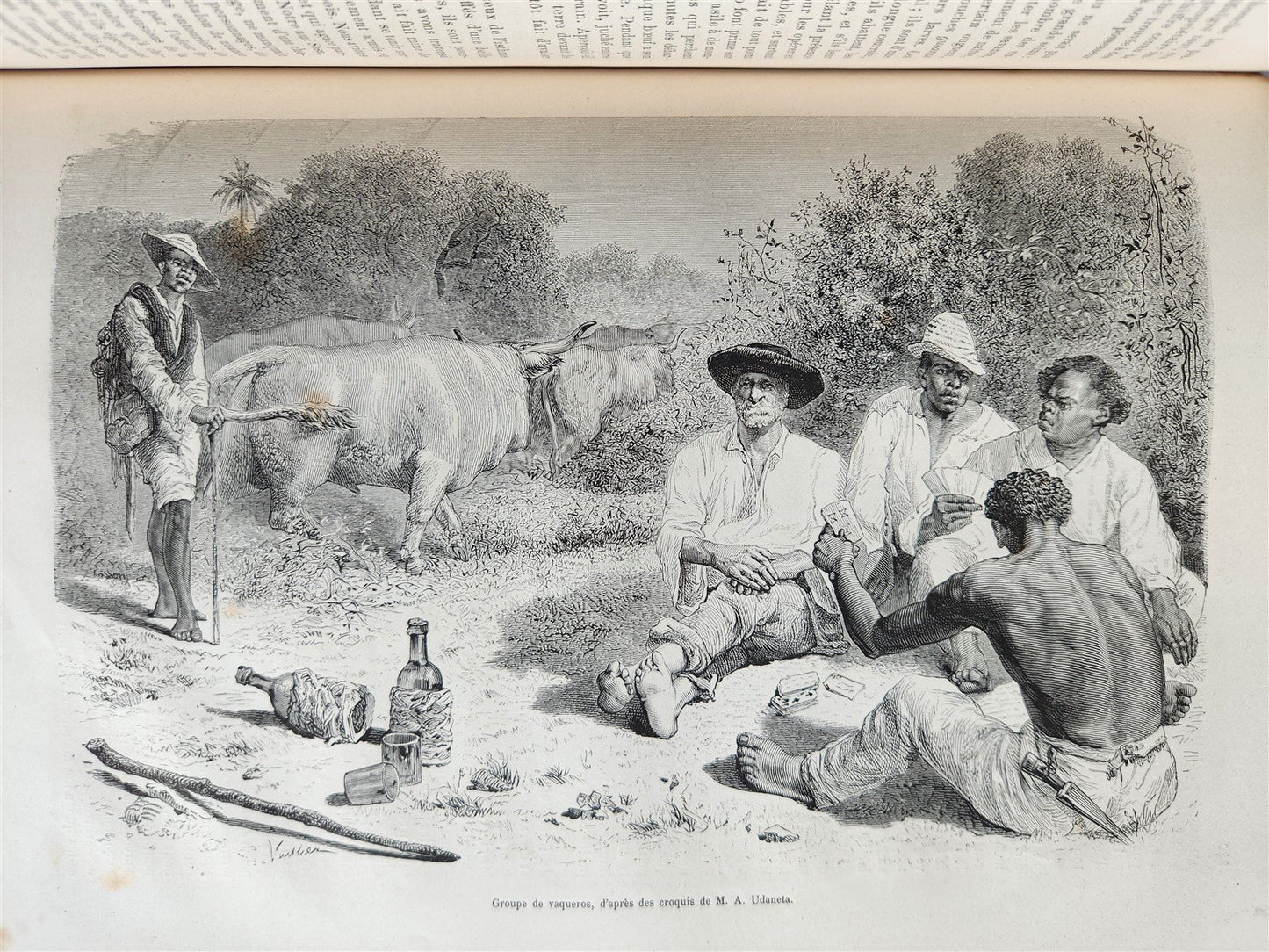 1880 HISTORY of VOYAGES ILLUSTRATED antique S. AMERICA ALGERIA SUMATRA AFRICA