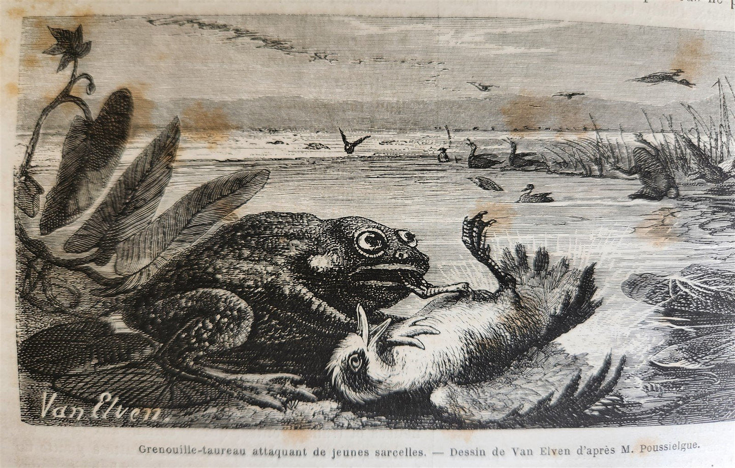 1870 HISTORY of VOYAGES ILLUSTRATED antique CROATIA BOSNIA INDIA FLORIDA AFRICA