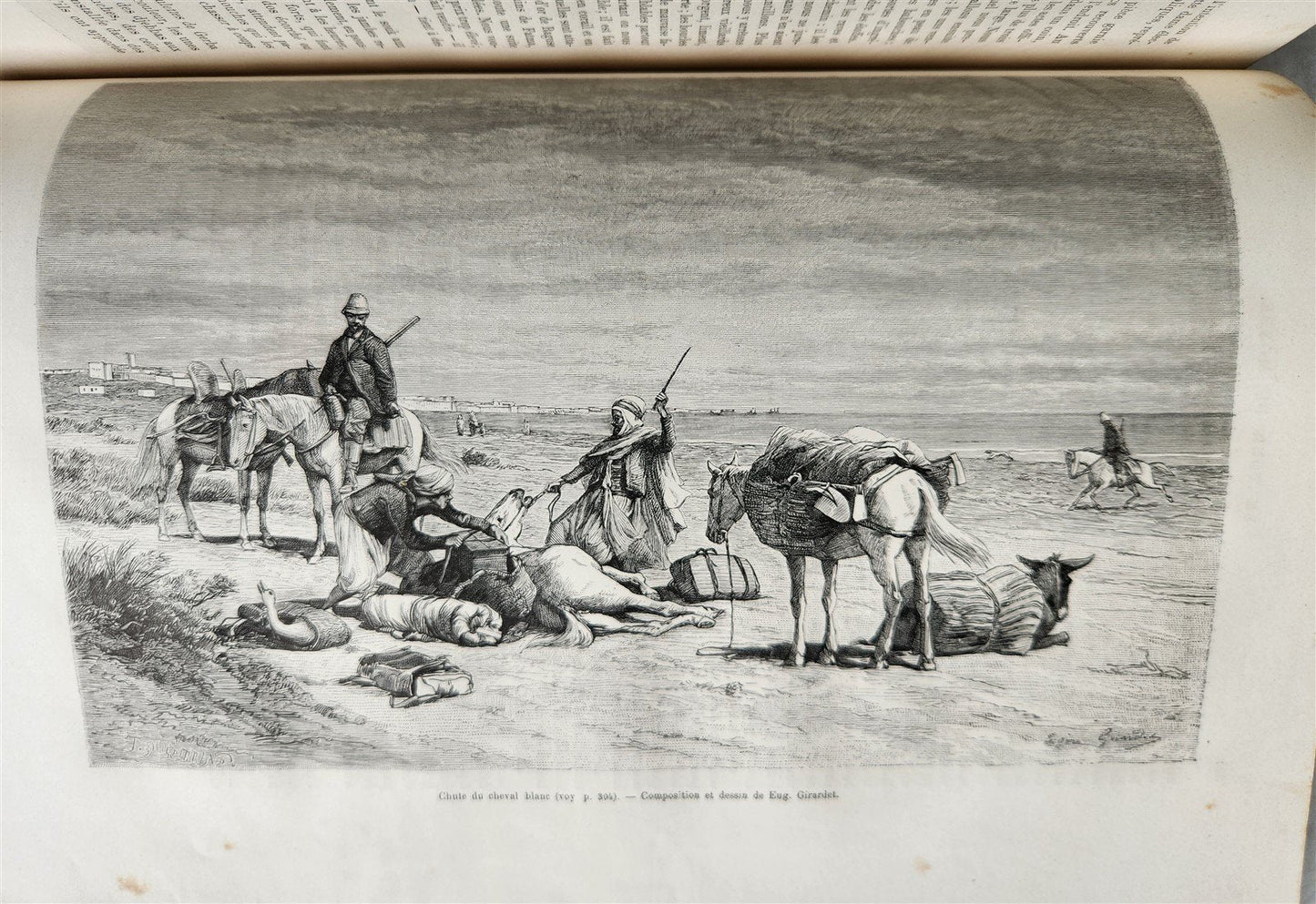 1885 HISTORY of VOYAGES ILLUSTRATED antique CHILE TUNISIA POLYNESIA INDIA