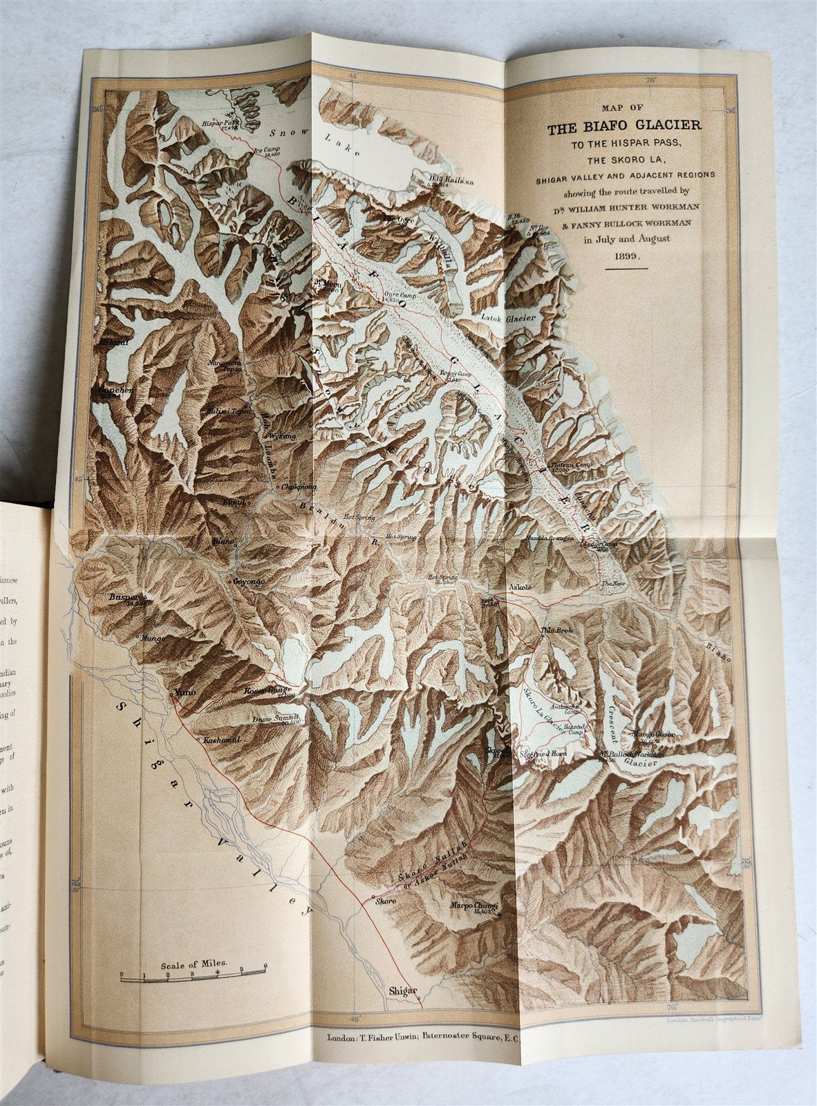 1901 IN THE ICE WORLD of HIMALAYA antique ILLUSTRATED w/ MAPS