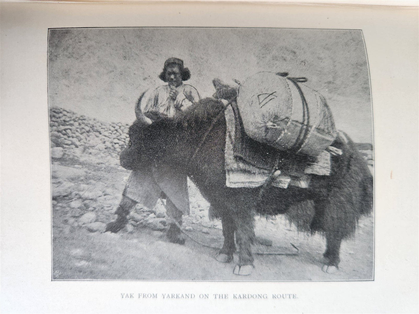 1901 IN THE ICE WORLD of HIMALAYA antique ILLUSTRATED w/ MAPS