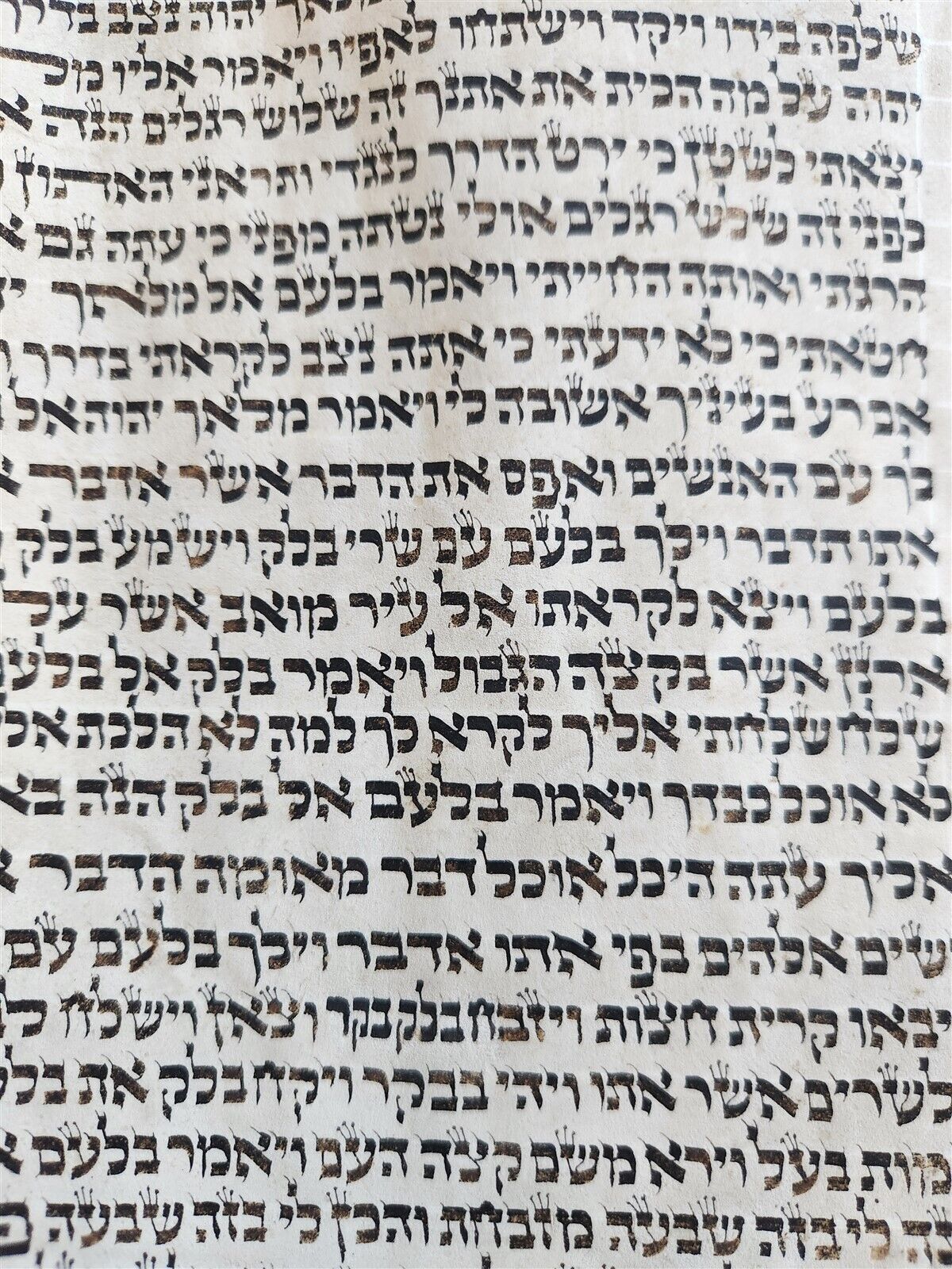 TORAH SCROLL FRAGMENT MANUSCRIPT on VELLUM antique BIBLE BOOK OF NUMBERS 21x42"