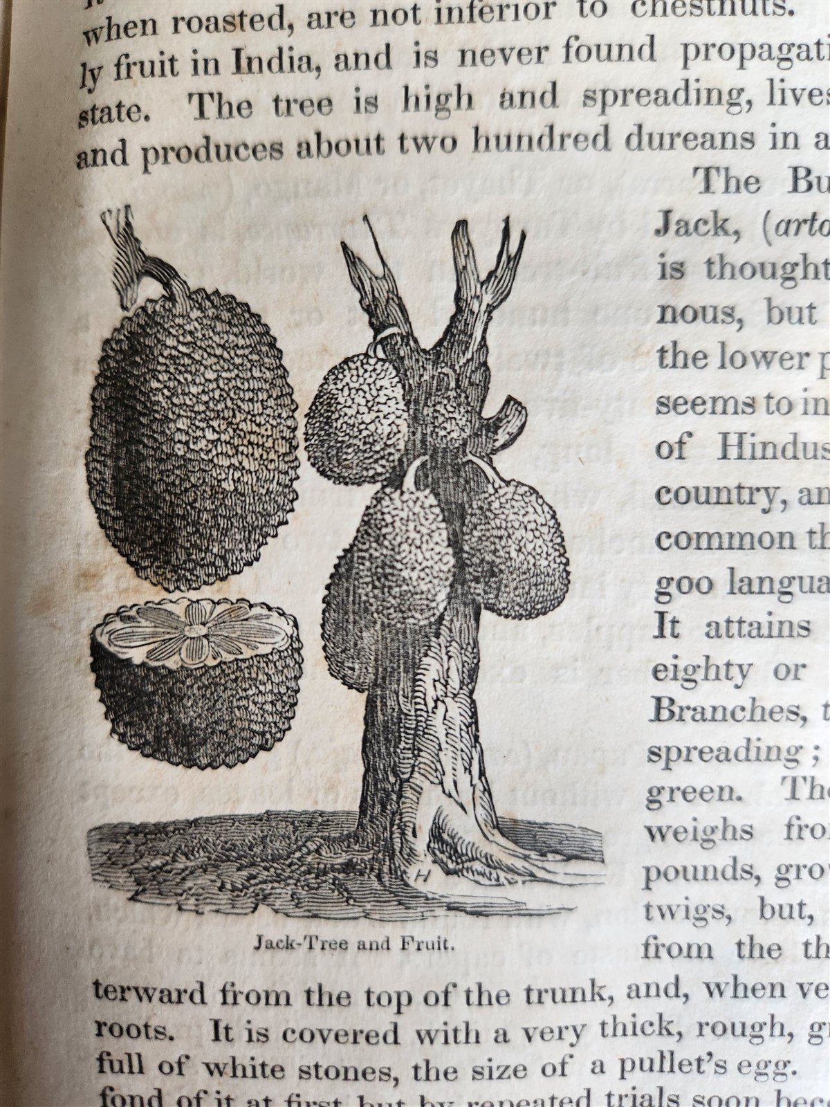 1839 TRAVELS SOUTHEAST ASIA antique ILLUSTRATED Hindustan Malaya Siam China