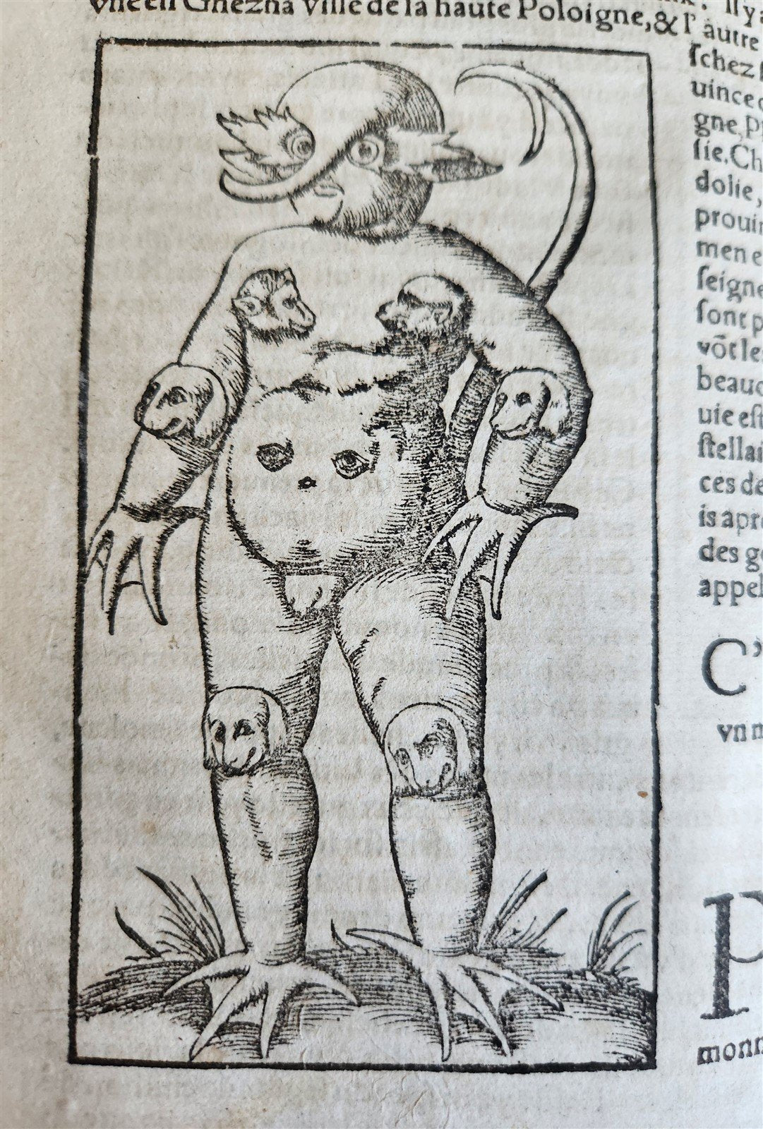 1568 COSMOGRAPHY by Sebastian Munster antique RARE ILLUSTRATED w/ MAPS VELLUM