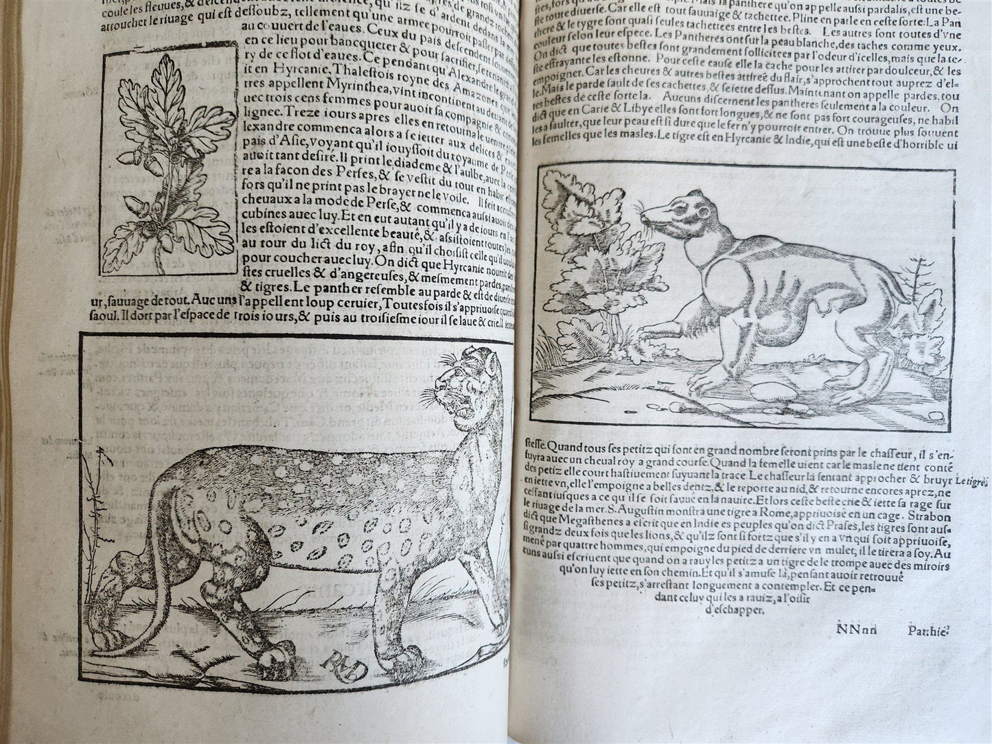 1568 COSMOGRAPHY by Sebastian Munster antique RARE ILLUSTRATED w/ MAPS VELLUM